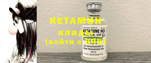 индика Вяземский