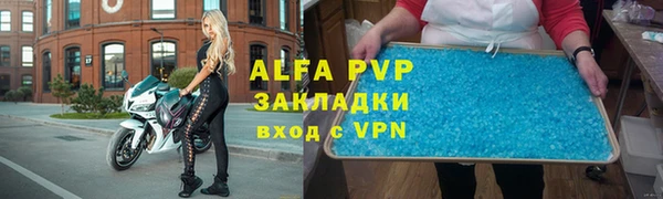 индика Вяземский