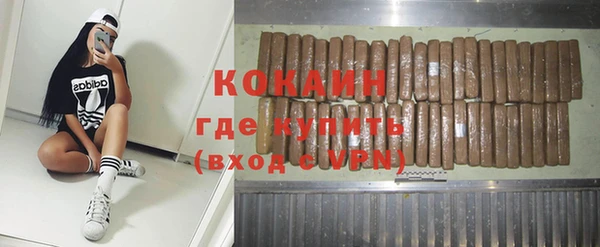 индика Вяземский