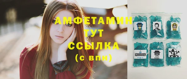индика Вяземский