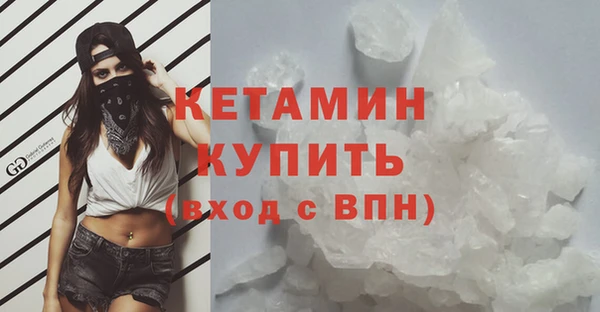 индика Вяземский