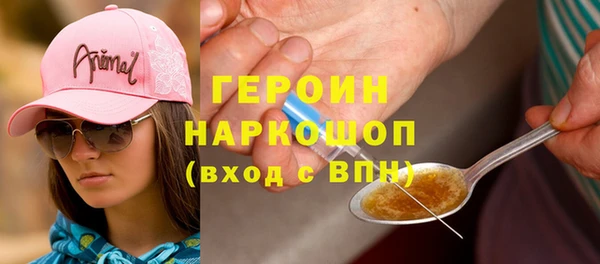 индика Вяземский