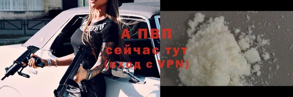 индика Вяземский