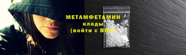 индика Вяземский