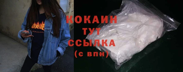 индика Вяземский