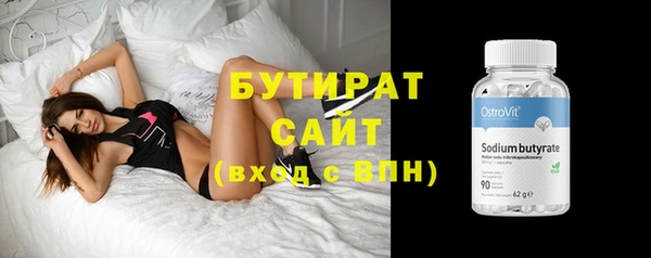 индика Вяземский