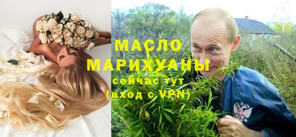 индика Вяземский