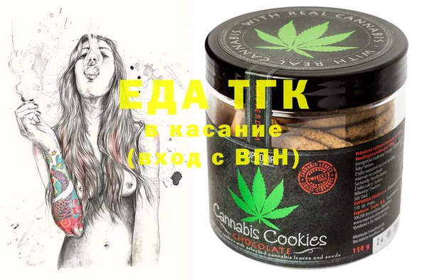 индика Вяземский