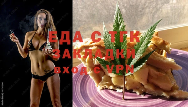индика Вяземский