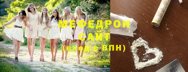 индика Вяземский