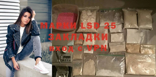 индика Вяземский