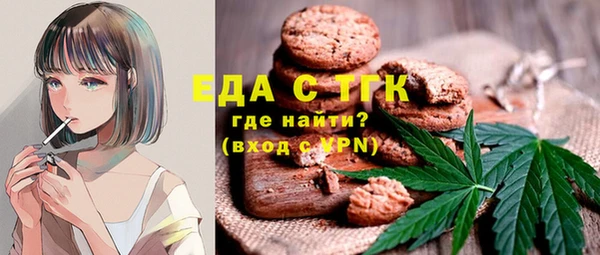 индика Вяземский