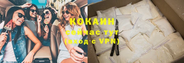 индика Вяземский